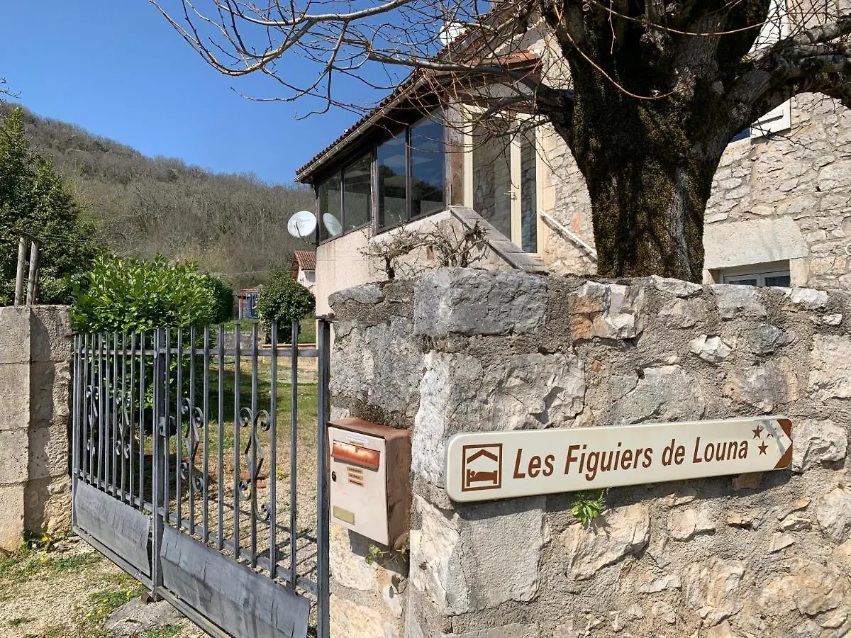Apartment Les Figuiers De Louna - Pierre Ensoleillee - 110 M2 Et Une Veranda Saint-Gery  France